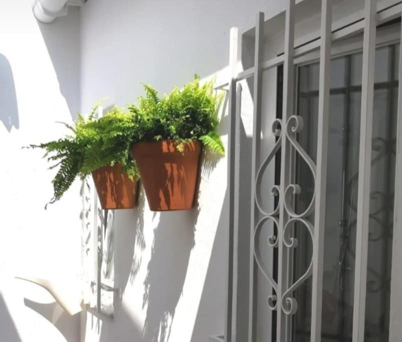 La Marieta, Casita Acogedora Y Centrica Villa Castilleja de la Cuesta Dış mekan fotoğraf